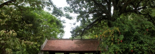 Du lịch Hoa Lư - Thung Nham 1 ngày (1)