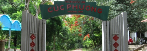 Du lịch Bái Đính - Tràng An - Cúc Phương 2 ngày 1 đêm (7)