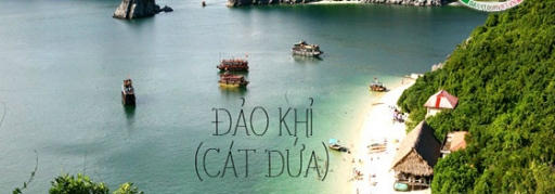 Du lịch Hạ Long - Cát Bà 3 ngày 2 đêm (tàu + khách sạn) (1)
