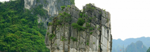 Du lịch Hạ Long - Cát Bà 3 ngày 2 đêm (tàu + khách sạn) (11)