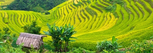 Du lịch Thung Nai - Mai Châu - Mộc Châu 2 ngày 1 đêm giá rẻ (10)