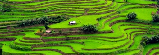 Du lịch Thung Nai - Mai Châu - Mộc Châu 2 ngày 1 đêm giá rẻ (11)