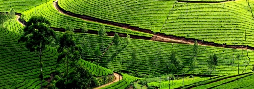 Du lịch Thung Nai - Mai Châu - Mộc Châu 2 ngày 1 đêm giá rẻ (2)