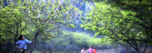 Du lịch Thung Nai - Mai Châu - Mộc Châu 2 ngày 1 đêm giá rẻ (3)