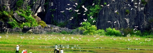 Tour Chùa Tam Chúc - Vân Long 1 ngày (6)