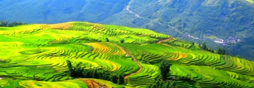 Du lịch Sapa - Cát Cát - Lao Chải - Tả Van - Giàng Tả Chải - Sử Pán 3 ngày 4 đêm (8)