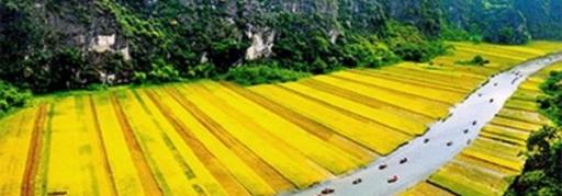 Du lịch Hoa Lư - Tam Cốc - Thung Nham 2 ngày 1 đêm (4)