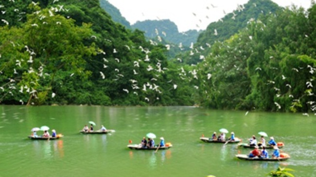 Du lịch Hoa Lư - Thung Nham 1 ngày