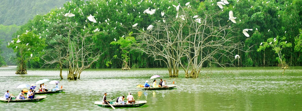 Du lịch Hoa Lư - Tam Cốc - Thung Nham 2 ngày 1 đêm